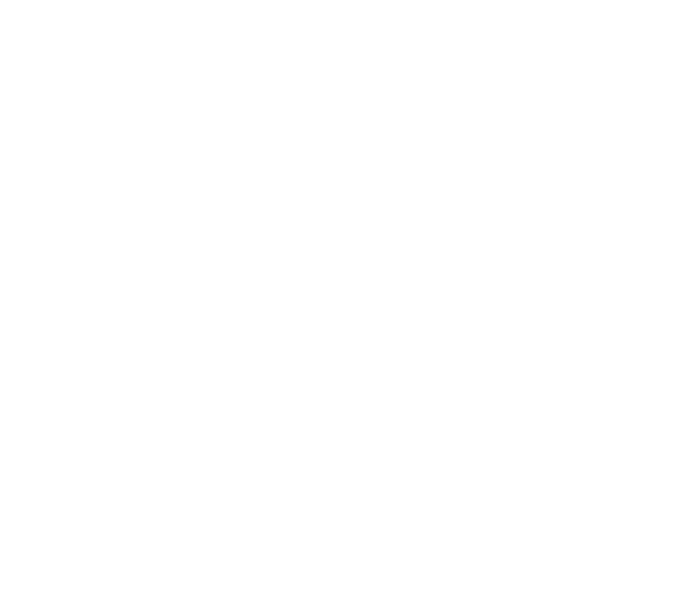 Virtual Intern Experience